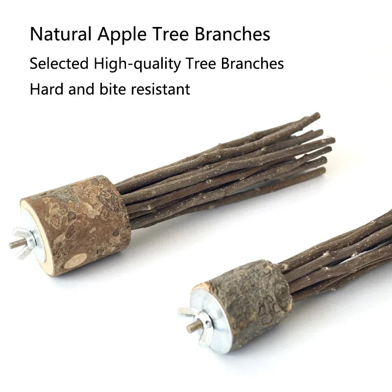 Natural Apple Tree Wood Pet Parrot Raw Wood Fork Tree Branch Stand Rack Squirrel Bird Hamster Branch Perches Chew Bite Toys