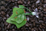 1pcs Fish Tank Artificial Leaf Fish Rest Bed Decor Aquarium Decoration Floating Bed Leaf Hammock FightingPerch Betta Spawning