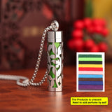 Stainless Steel Aromatherapy Necklace Diffuser Pendant Aroma Diffuser Locket Perfume Essential Oil Diffuser Pendant Necklace