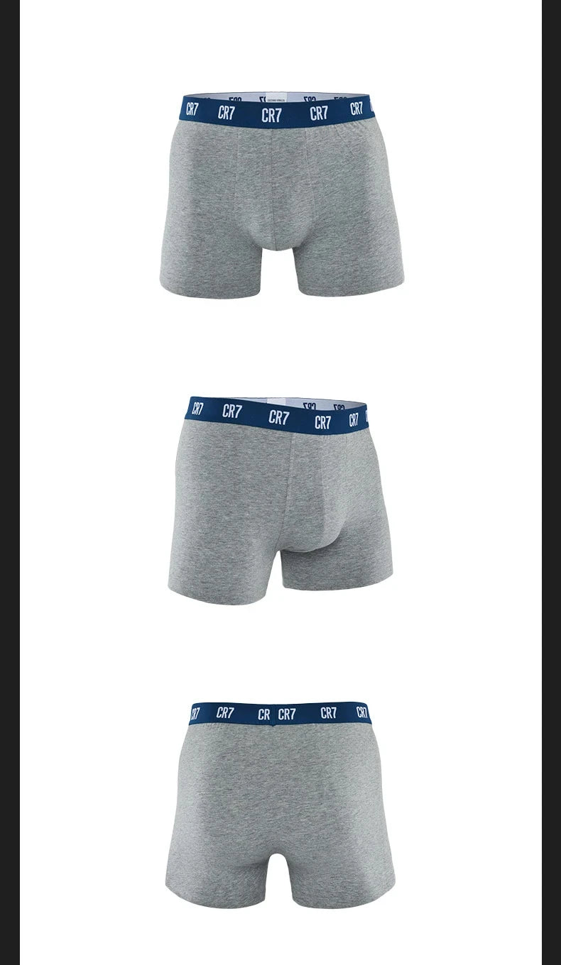 CRIIS SEVEN 7 Mens Sports Underwear Men's Boxers Underpants Shorts Fitness Man Panties Lingerie Brand Underwear Cotton M-2XL