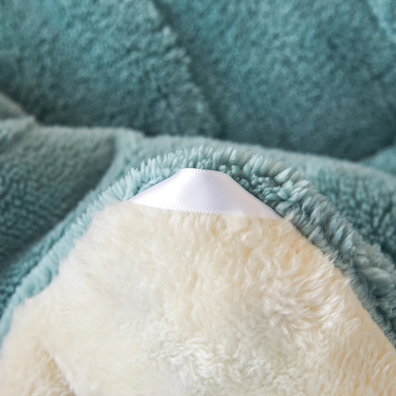 Thick Warm Imitation Lambswool Winter Blanket for Bed, Soft Jacquard Coral Fleece Quilt, Double-Sided Plush Weighted Blanket 5kg