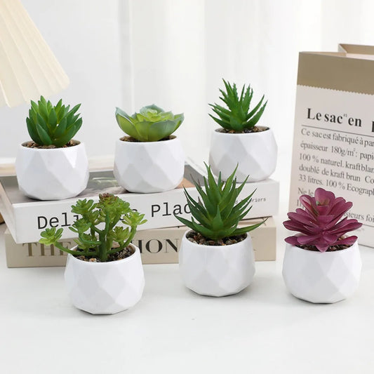 Plantas suculentas artificiales de bonsái, suculentas de simulación, mini bonsái perenne, cactus, suculentas de plástico, plantas falsas para decoración.