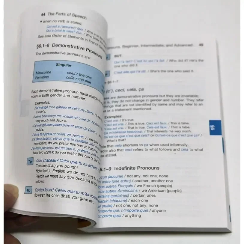 French grammar original language study book English version reference book