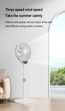 220V Electric Pedestal Standing Fan Adjustable Heigh Desk Air Blower Timing Shake for Living Room Bedroom Kitchen Home Office