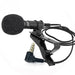 MIC