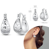 925 Sterling Silver Hypoallergenic Hoops Earrings com zircônia, jóias elegantes para mulheres e meninas, alta qualidade