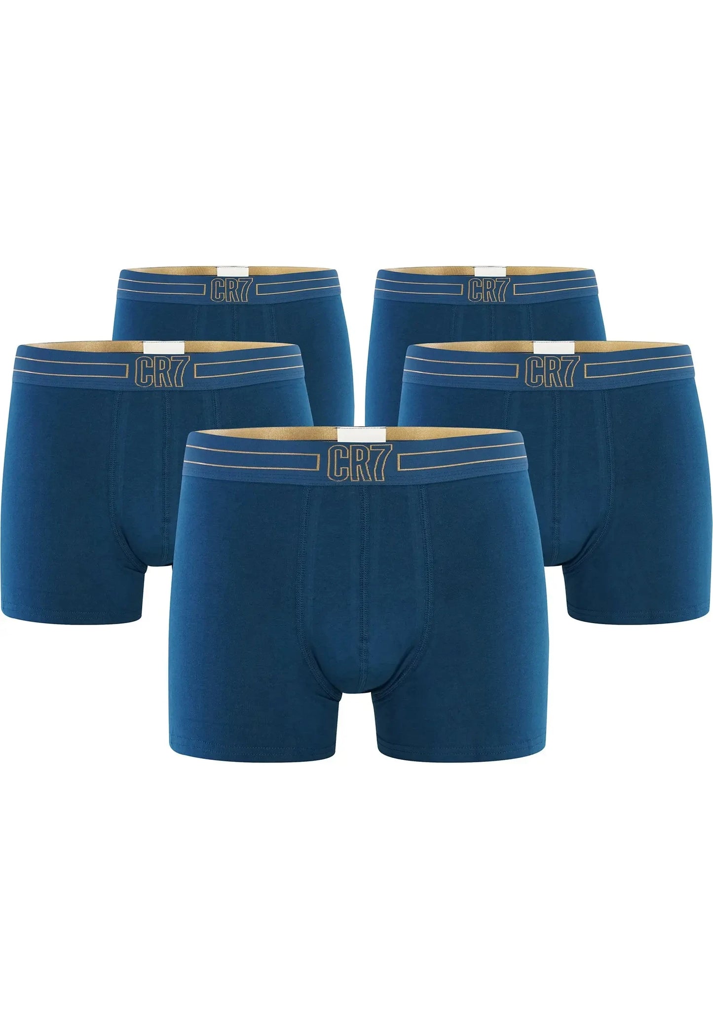 CRIIS SEVEN 7 Mens Sports Underwear Men's Boxers Underpants Shorts Fitness Man Panties Lingerie Brand Underwear Cotton M-2XL