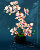 Creative Orchid Cymbidium Eternal Flowers Potted Plant Building Blocks Simulation Phalaenopsis DIY Bricks Toys Valentine's Gift