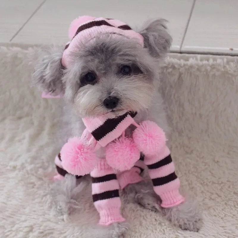 Dog Winter Wear 1 Set(hat+scarf+leg Warmers) Rainbow Stripe Knitted Dog Scarf Winter Warm Hat Footwear Sloves Pet Clothes