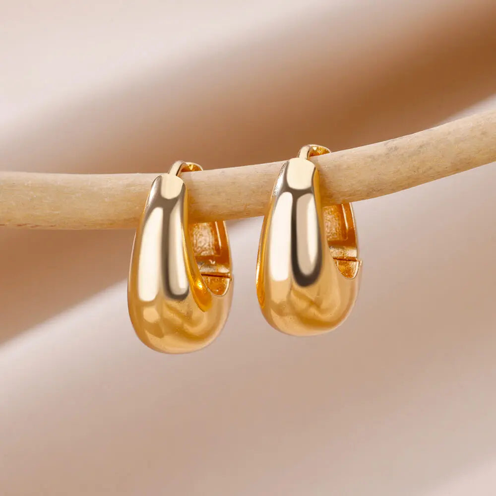 Heart Stainless Steel Earrings for Women Zircon Gold Color Hoop Earring Aesthetic Waterproof Ear Piercing Jewelry Accessories