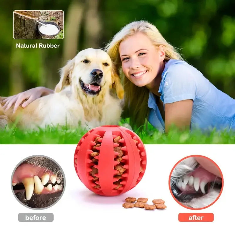 Dog Toy Ball That Leaks Food, Bouncy Rubber Ball for Dogs, Molar Chew Toy, Bite-Resistant Pet Teeth Cleaning Toy, Dog Accessories