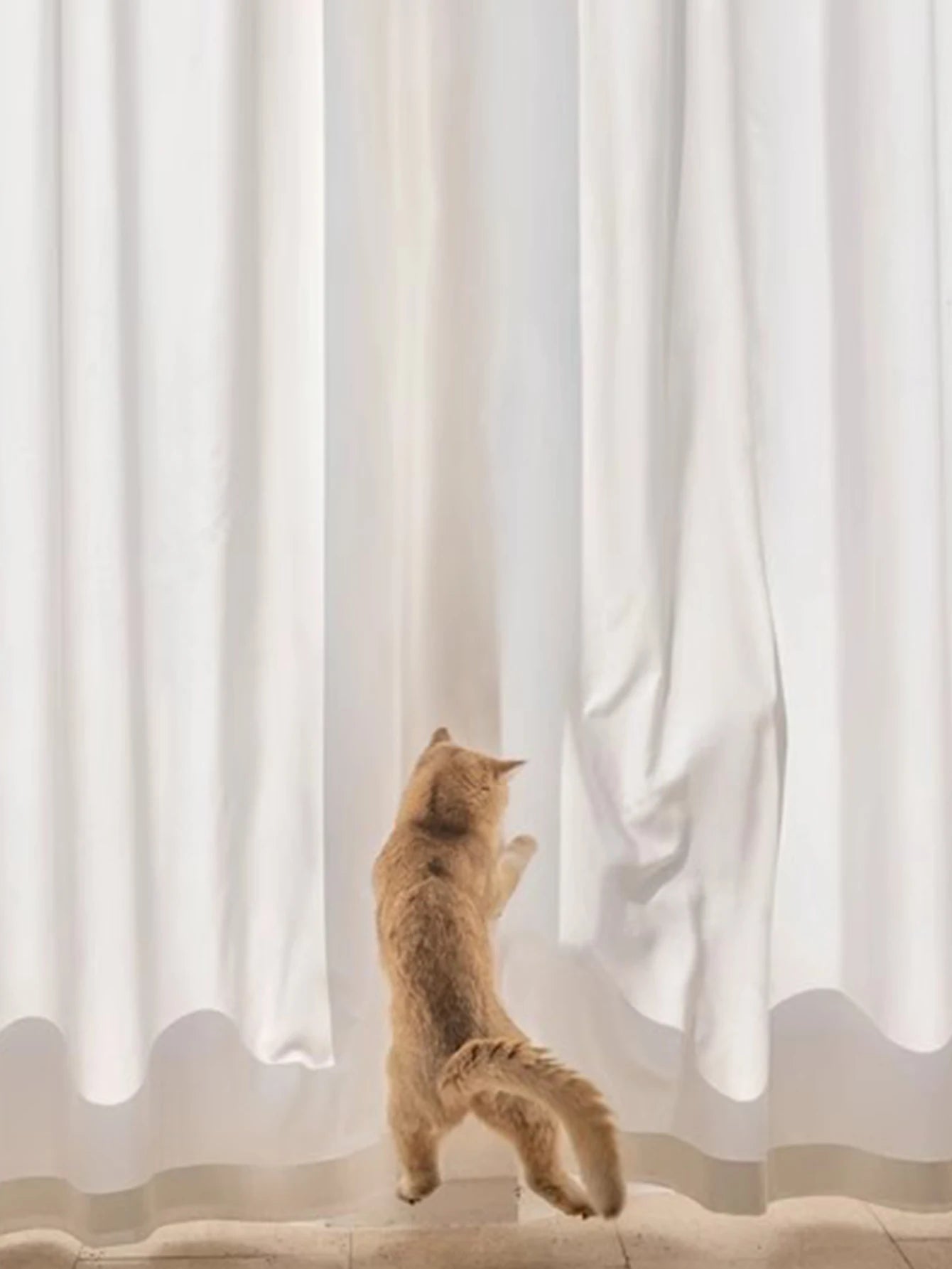 Una cortina impermeable que evita que el gato arañe y para la sala de estar y el dormitorio.