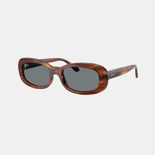 Rayban Original 2221F Polarized Sunglasses with Glass Lens in Box