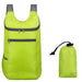 backpack 1