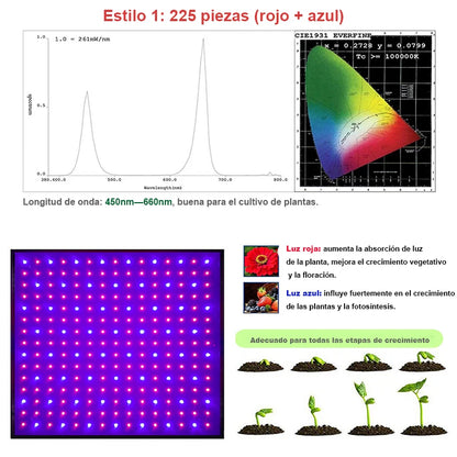 Full Spectrum Indoor Grow Light, Phytolamp para Plantas, Phyto Lamp para Gow Tent Box, Mudas crescendo e florindo, 1000W