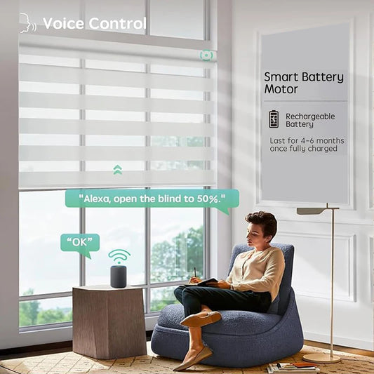 Custom Size Motorized Window Blinds Smart Zebra Roller Blinds Light Filtering Shades Battery Powered Electric Blinds for Windows