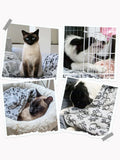 Ultra Soft Fluffy High Quality Pet Blanket Cute Cartoon Pattern Pet Mat Warm and Comfortable Blanket for Cat Dogs Cat Bath Towel