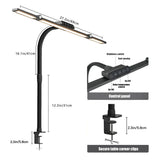 Home Office LED Desk Lamp Double Head Stepless Dimming Eye-Caring Reading Lights 3 Color Mode Flexible Adjustable PC Table Lamps