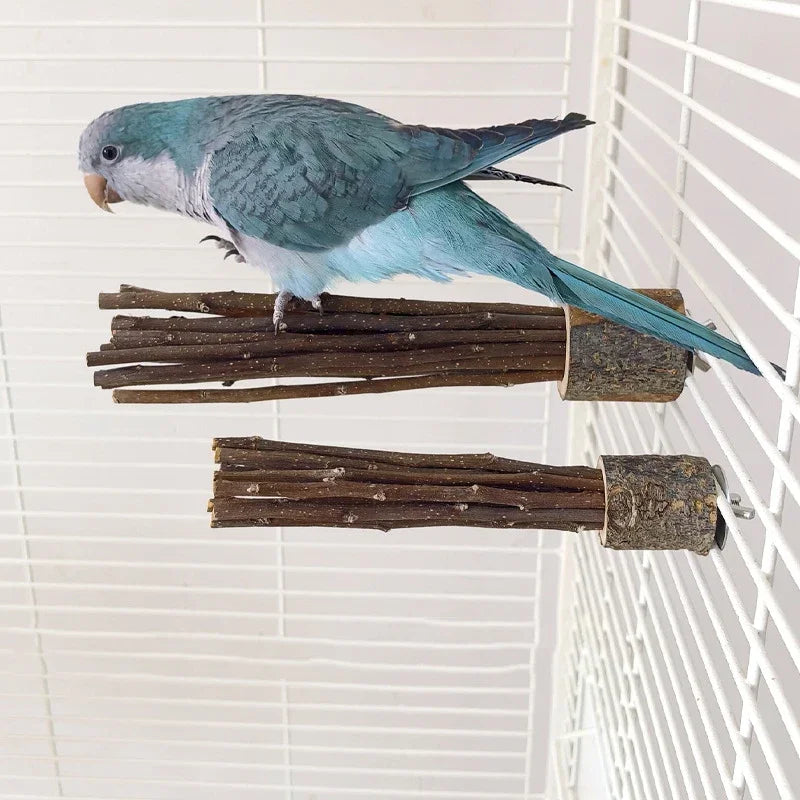 Natural Apple Tree Wood Pet Parrot Raw Wood Fork Tree Branch Stand Rack Squirrel Bird Hamster Branch Perches Chew Bite Toys