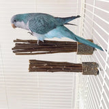 Natural Apple Tree Wood Pet Parrot Raw Wood Fork Tree Branch Stand Rack Squirrel Bird Hamster Branch Perches Chew Bite Toys