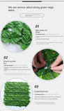 Artificial Ivy Hedge Green Leaf Fence Panels Faux Privacy Fence Screen for Home Outdoor Garden Balcony Decoration