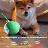 New Cat Interactive Ball Toy,Automatic Rolling Cat Ball Rechargeable,Smart Kitten Interactive Toy,Intelligent Balls Toy for Cat