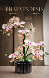 Creative Orchid Cymbidium Eternal Flowers Potted Plant Building Blocks Simulation Phalaenopsis DIY Bricks Toys Valentine's Gift