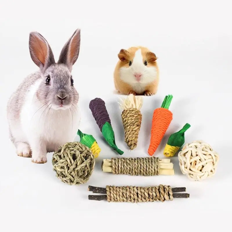 9/14PCS Small Pet Toy Set Chew Toy For Rabbits Teeth Grinding Teeth Guinea Pig Apple Branches Bite Wood Teeth Grinding Snacks