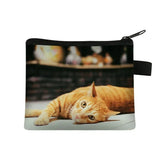 Coin Purse New Animal Cat Children's Wallet Student Portable Card Coin Key Storage Bag Polyester Hand Bag Mini Bag