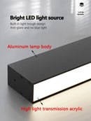 Modern Long Strip Ceiling Light Surface Mounted Minimalist Aisle Lamp Living Room Bedroom Kitchen Home Office LED Lighting