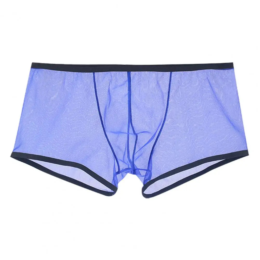 Transparent Boxers for Men See Through Male Underpants Sexy Low Waist Panties Lingerie Intimates