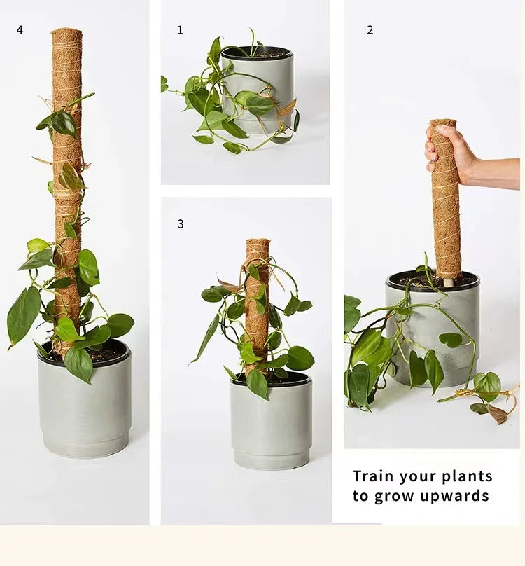 Palos de palma de coco para trepar plantas con palos Palos de palma de coco extensibles y deformables para accesorios de plantas de jardinería