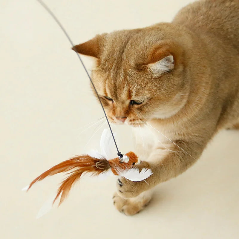 Varita de pájaro/pluma para gato con campana y potente ventosa, manos libres, juguetes interactivos para gatos, ejercicio de caza de gatitos, productos para mascotas