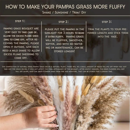 105pcs Natural Dried Flowers Pampas Floral Bouquet Boho Country Home Decoration Rabbit Tail Grass Reed Wedding Decor Arrangement