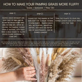 105pcs Natural Dried Flowers Pampas Floral Bouquet Boho Country Home Decoration Rabbit Tail Grass Reed Wedding Decor Arrangement