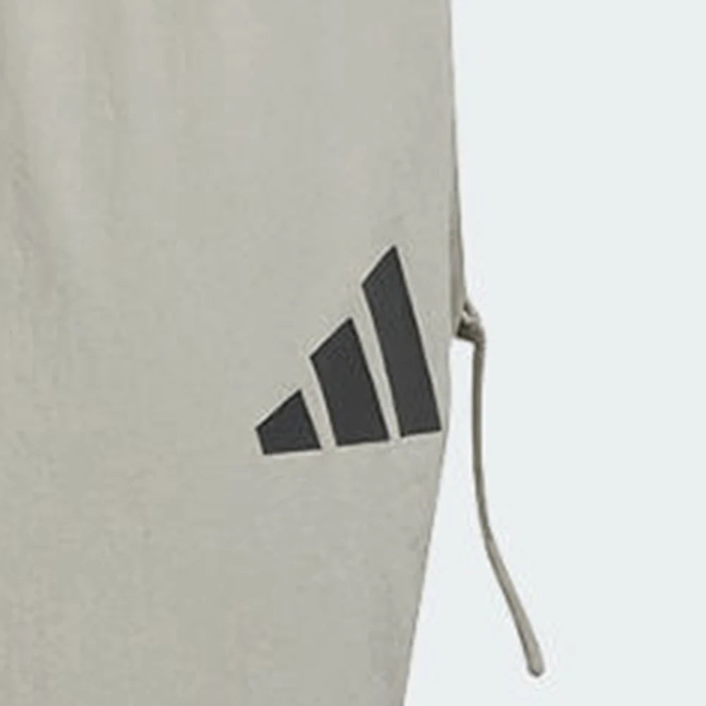Adidas 2025 Men's M CE Q2 PR Z PT Woven Pants JF3262