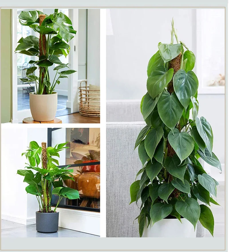 Palos de palma de coco para trepar plantas con palos Palos de palma de coco extensibles y deformables para accesorios de plantas de jardinería