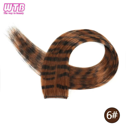 Synthetic One Card Hair Extension Wig Hair For Women Long Straight Clip-in Colored Zebra Line Feather Hair Extensions Fake Hair