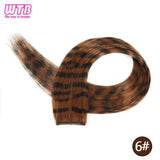 Synthetic One Card Hair Extension Wig Hair For Women Long Straight Clip-in Colored Zebra Line Feather Hair Extensions Fake Hair