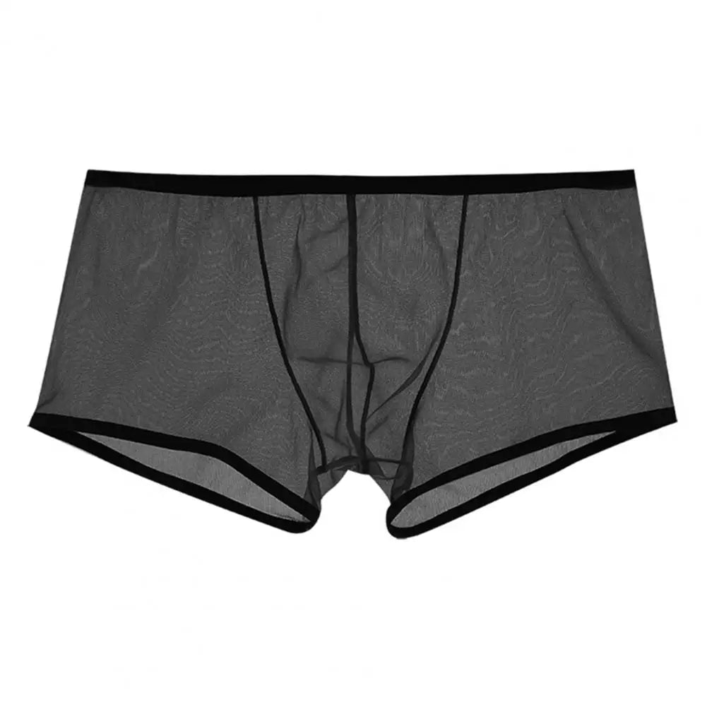 Transparent Boxers for Men See Through Male Underpants Sexy Low Waist Panties Lingerie Intimates
