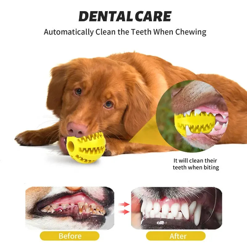 Dog Toy Ball That Leaks Food, Bouncy Rubber Ball for Dogs, Molar Chew Toy, Bite-Resistant Pet Teeth Cleaning Toy, Dog Accessories