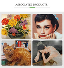 5D Diamond Painting Kits for Adults Full Round Diamond Art Butterfly is Very Suitable for Beginner and Gifts for Wall Home Decor