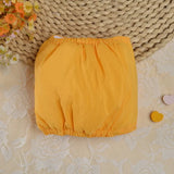 Reusable Sanitary Panties Washable Small Dog Pet Diapers Female Dogs Large Physiological Pants Shorts Male Cats Pet Menstruation