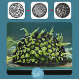 Aquarium Shrimp House Cave Mini Porous Betta House Fish Hiding Spots Shrimp Shelter Shrimp Breeding Nest for Aquatic Decor