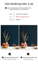 Modern Long Strip Ceiling Light Surface Mounted Minimalist Aisle Lamp Living Room Bedroom Kitchen Home Office LED Lighting