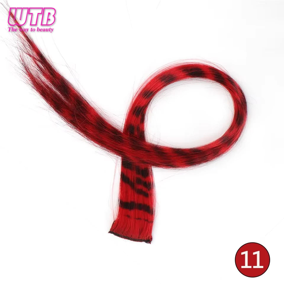 Synthetic One Card Hair Extension Wig Hair For Women Long Straight Clip-in Colored Zebra Line Feather Hair Extensions Fake Hair