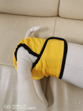 Reusable Sanitary Panties Washable Small Dog Pet Diapers Female Dogs Large Physiological Pants Shorts Male Cats Pet Menstruation