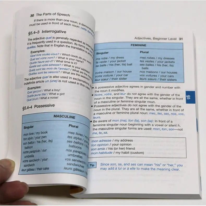 French grammar original language study book English version reference book