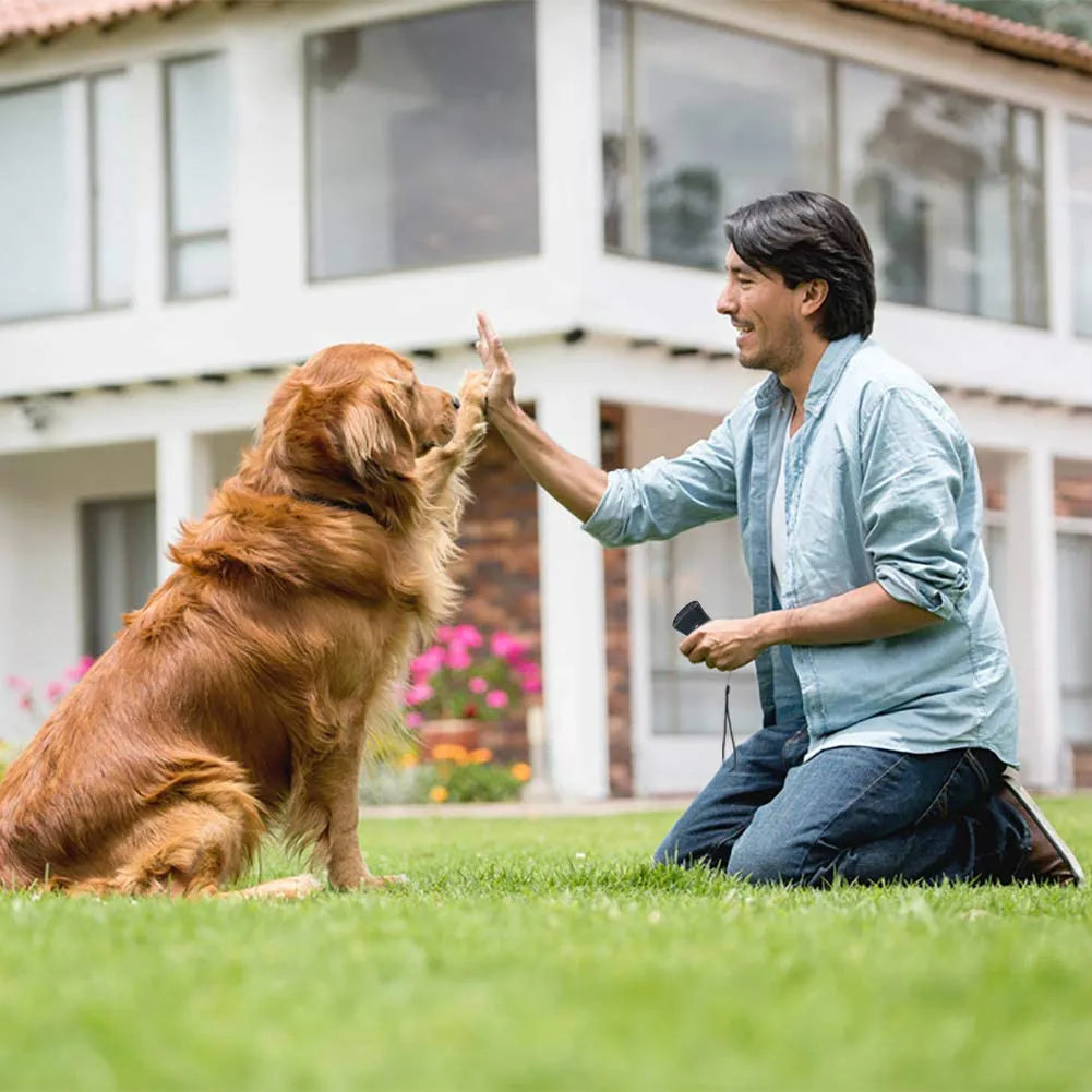 Dog Repeller Anti Barking Stop Bark Training Device Outdoor LED Ultrasonic Dog Training Repellents with Flash Light