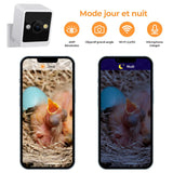 Real-time observation of nest construction 5 million pixel Outdoor Birdhouse camera DIY birdhouse nest box with camera